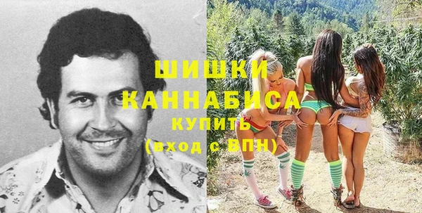 прущие крисы Абинск