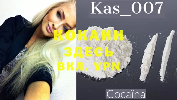 сатива Абаза