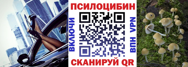 площадка клад kraken как зайти Абакан Псилоцибиновые грибы ЛСД