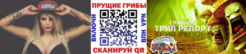 Галлюциногенные грибы MAGIC MUSHROOMS Абакан